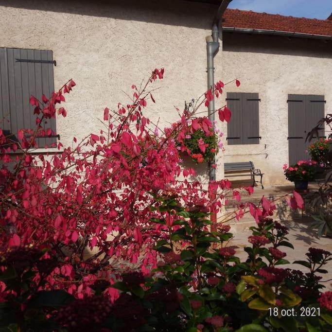 Maison Aux Portes Du Centre Historique De Dijon Avec 3 Chambres Et Garage Esterno foto